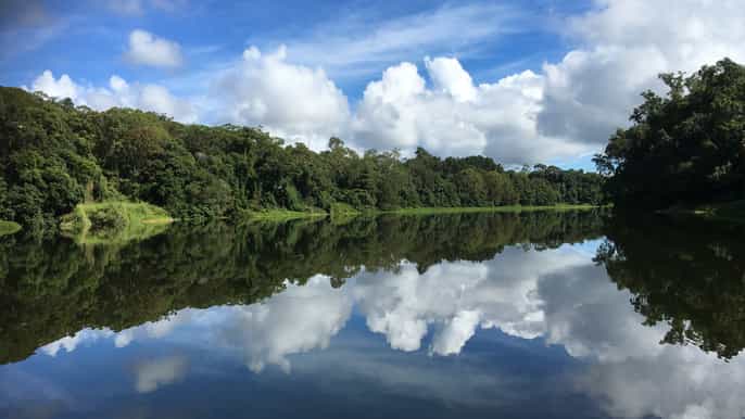 kuranda rainforest riverboat cruise