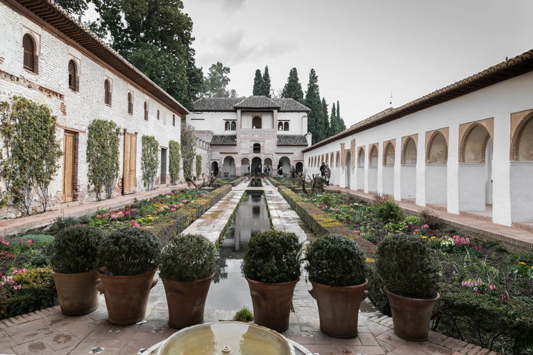 Granada: Last minute ticket Alhambra Tour
