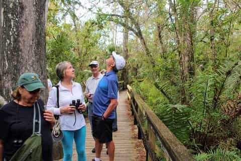 Florida: 1-Hour Everglades Airboat Ride and Nature Walk