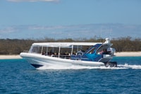 Hervey Bay, Ultimate Whale Watching Experience - Housity
