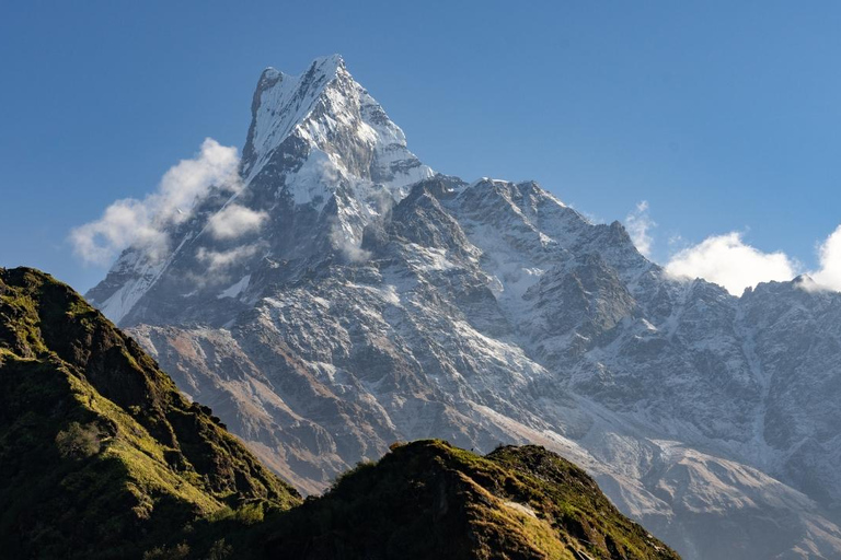 Népal : Trek du Mardi Himal - 7 jours (meilleurs treks courts au Népal)Trek du Mardi Himal : services de guide uniquement