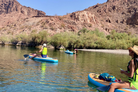 Plage de Willow : Location de paddle board