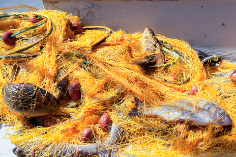 Santorin: Traditioneller Angelausflug mit Mittagessen