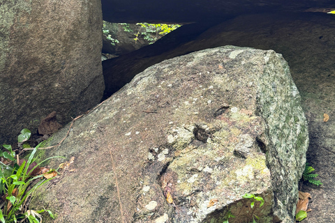 From Colombo: Cave Temples, Jungle Trek & Waterfall Swim