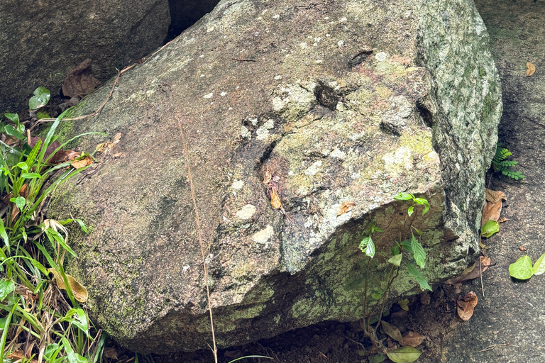 From Colombo: Cave Temples, Jungle Trek & Waterfall Swim