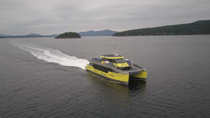 vancouver to victoria oneway whale watching cruise