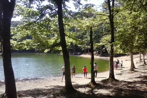Private tour National Park of Gargano (Foresta Umbra)