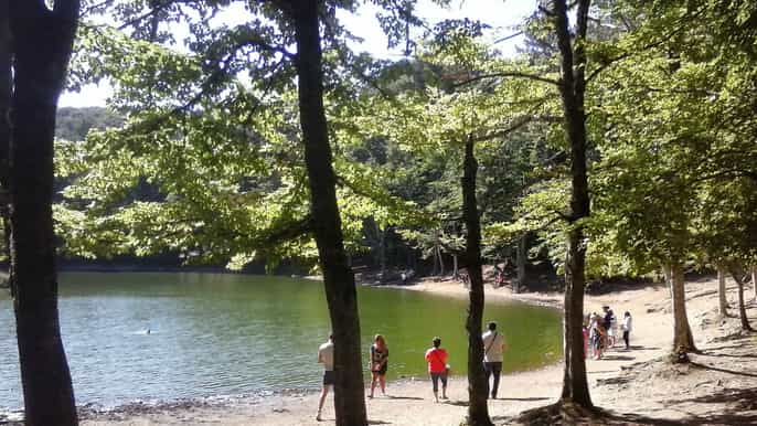 private tour national park of gargano (foresta umbra)