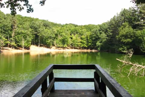 Private Tour Nationalpark Gargano (Foresta Umbra)
