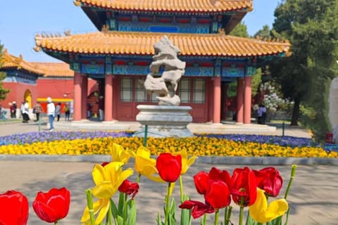 Beijing: Zhongshan Park Entry Ticket