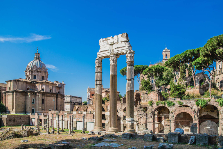 Roma: tour guiado del Coliseo y el Foro Romano