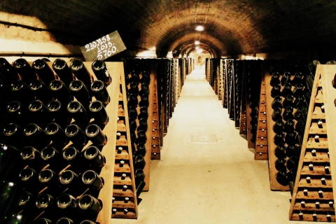 From Paris: Prestige Champagne Tour and Tastings
