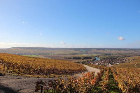 From Paris: Prestige Champagne Tour and Tastings