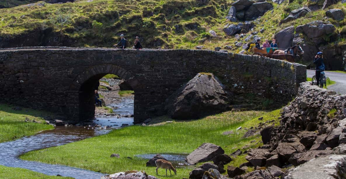 Gap of Dunloe & Lakes of Killlarney Boat Tour