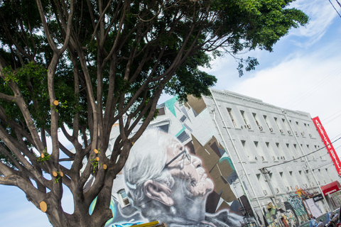 Los Angeles: Tour privato dei graffiti nel quartiere delle arti