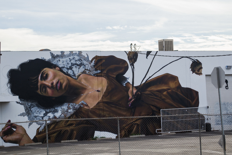 Los Angeles: Tour privato dei graffiti nel quartiere delle arti