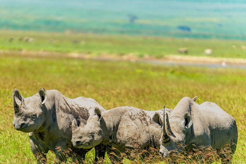 Ngorongoro Crater Safari & Maasai Village Experience