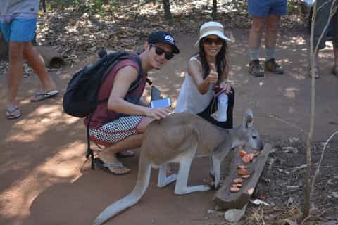 from darwin territory wildlife park shuttle transfer