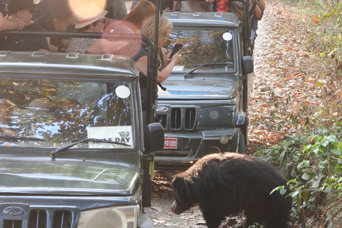 Chitwan National Park: Full-Day Jeep Safari with Lunch