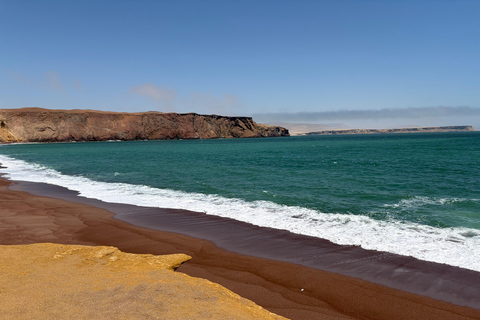 Premium Trekking in Paracas National Reserve Premium Trekking in the Paracas National Reserve