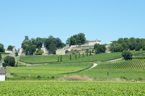 Au départ de Bordeaux : visite d&#039;une demi-journée à Saint-Emilion