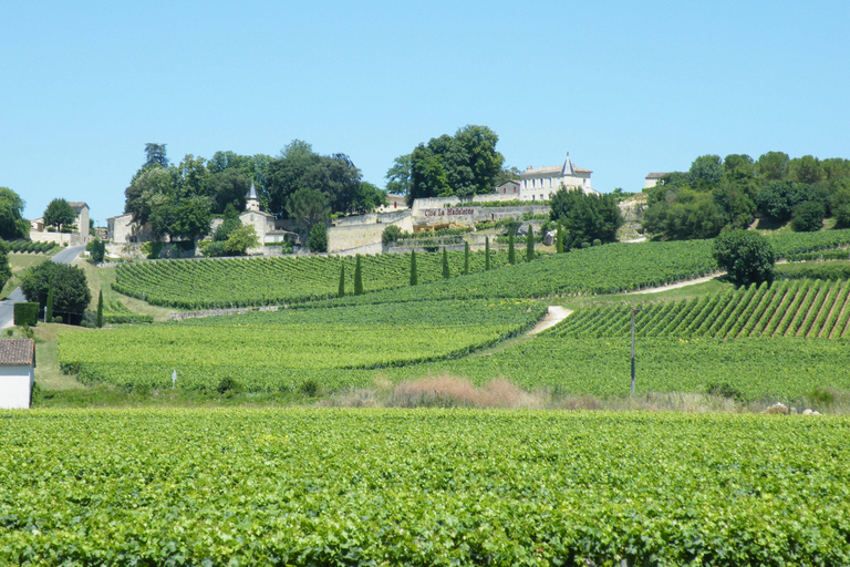 Au départ de Bordeaux : visite d&#039;une demi-journée à Saint-Emilion