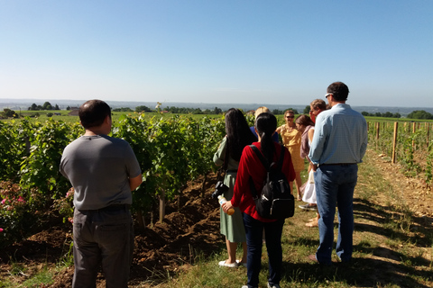 From Bordeaux: Saint-Emilion wine tour half-day