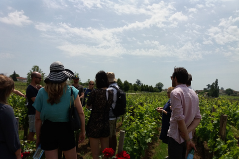 Desde Burdeos: visita de medio día a los vinos de Saint-EmilionDesde Burdeos: visita enológica de medio día a Saint-Emilion