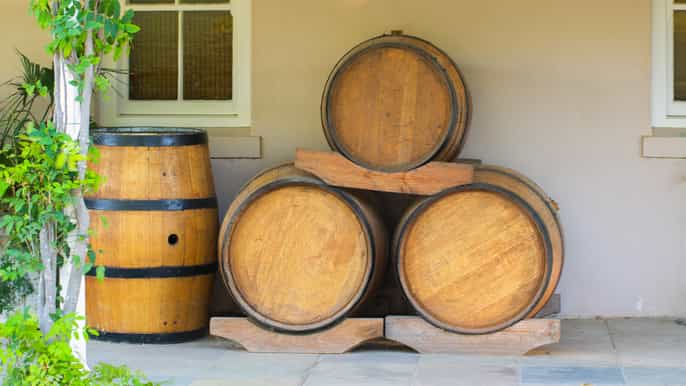 cape point highlights tour with wine tasting in stellenbosch