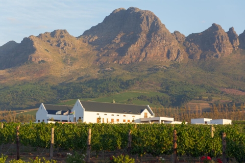 Cape Point Highlights Tour avec dégustation de vin à StellenboschOption standard