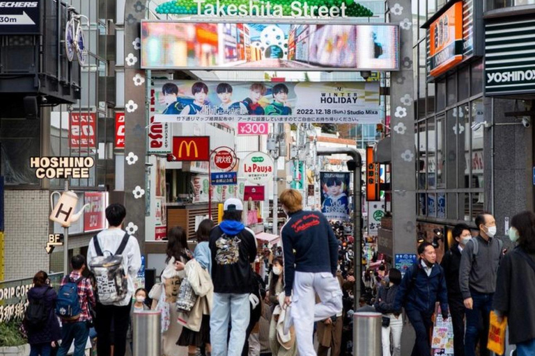 Visite privée personnalisable de Tokyo en voiture et en van