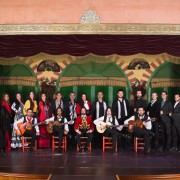 El Palacio Andaluz: spettacolo di flamenco e cena opzionale
