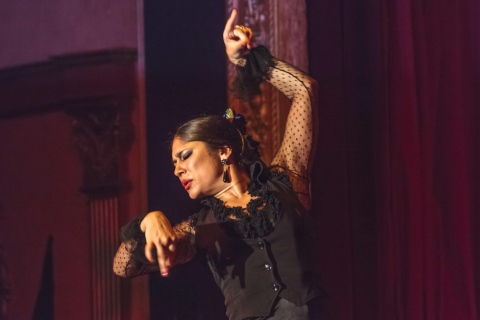 Sevilla: 3 uur durende flamencoshow en bustour in de avondBustour, flamencoshow en drankje