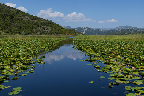 Kotor: Dagsutflykt och båtresa till Skadarsjön och BiogradFrom Herceg Novi