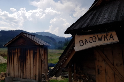 Zakopane et montagnes des Tatras au départ de Cracovie
