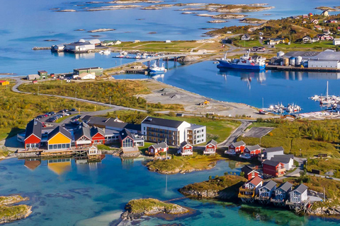 Da Tromsø: Tour panoramico dei fiordi e della fauna artica in auto