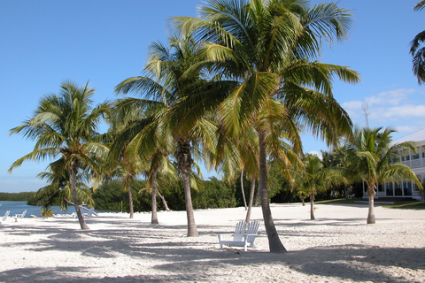 Från Miami: Rundtur till Key West med vattensportaktiviteterKey West med snorkling och drycker i öppen bar