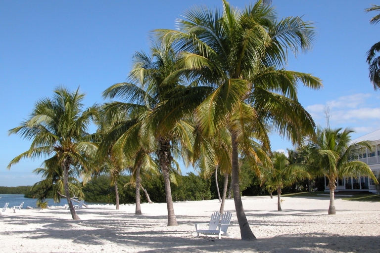 From Miami: Key West Tour with Water Sports Activities Full-Day Tour with Leisure Time