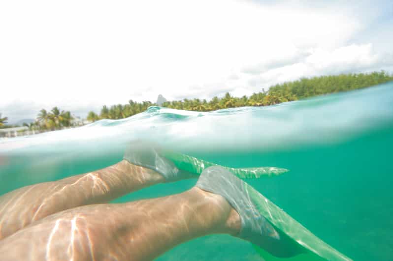 From Miami Key West Tour with Water Sports Activities GetYourGuide