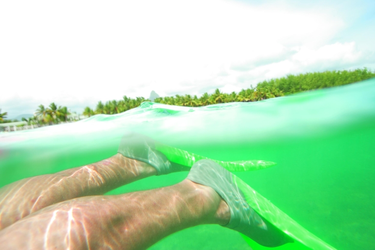 Van Miami: Key West Tour met watersportactiviteitenDagtrip naar Key West met 3 uur snorkelen en gratis Margaritas