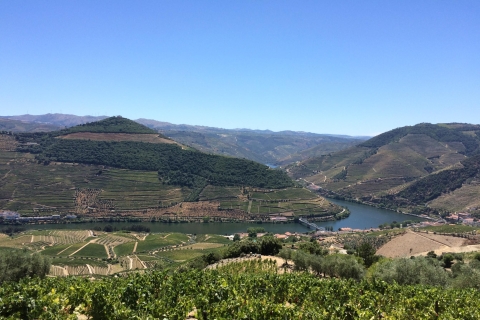 Douro Valley Weinprobe aus PortoDouro Valley Weinprobe