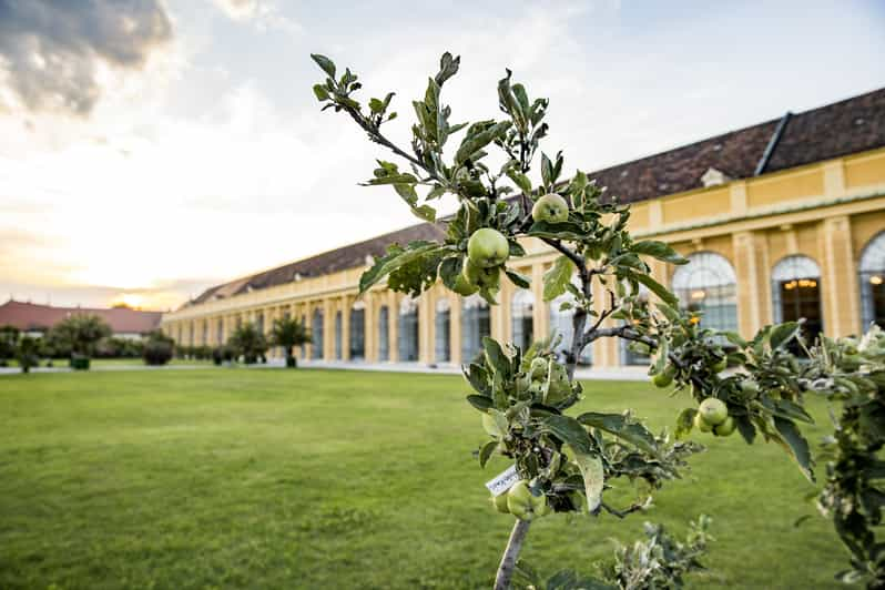 Schönbrunnin palatsin klassisen musiikin konsertit | GetYourGuide