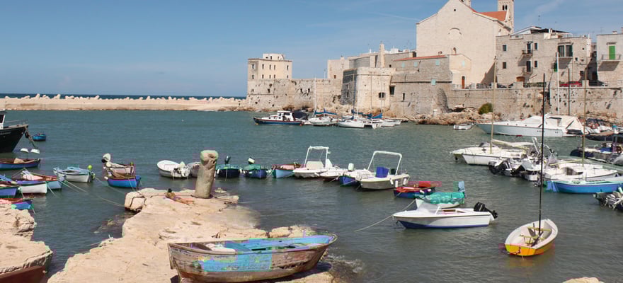 Cruises & boat tours