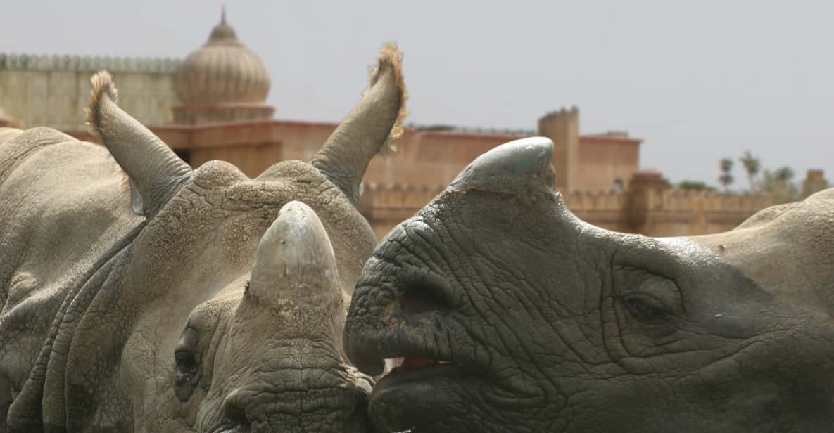 Benidorm: Terra Natura Theme Park 1-Day Tickets