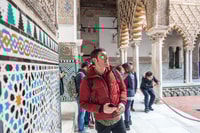 Sevilla, Alcázar Guided Tour - Housity