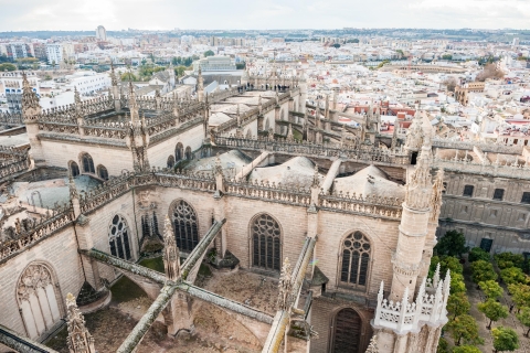 Seville: Cathedral Guided Tour with Priority Access Tour in French