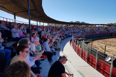 Cadiz: Andalusian Horses and Bulls Country Show