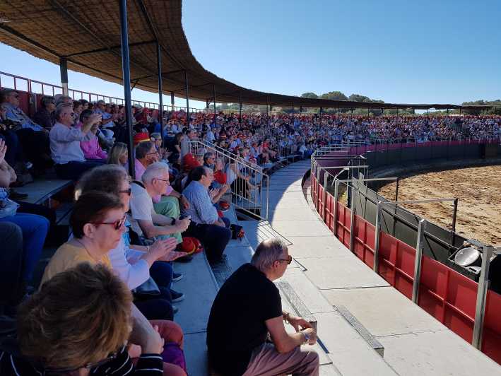 Cadiz: Andalusian Horses and Bulls Country Show