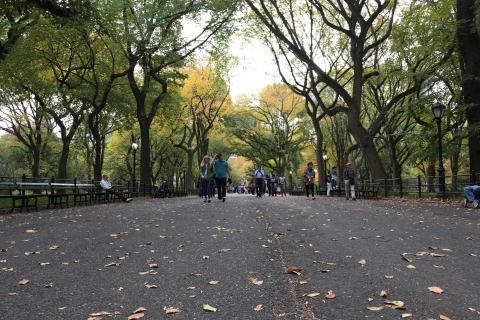 New York: Central Park Tour by Pedicab 1-Hour Tour