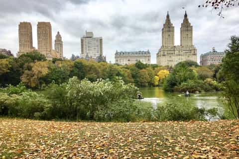 New York: Central Park Tour by Pedicab